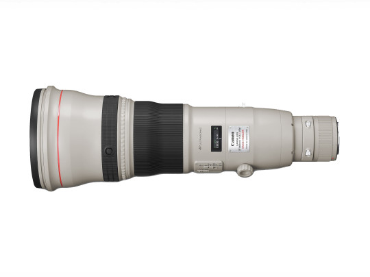 Canon EF 800mm F5.6 L IS USM