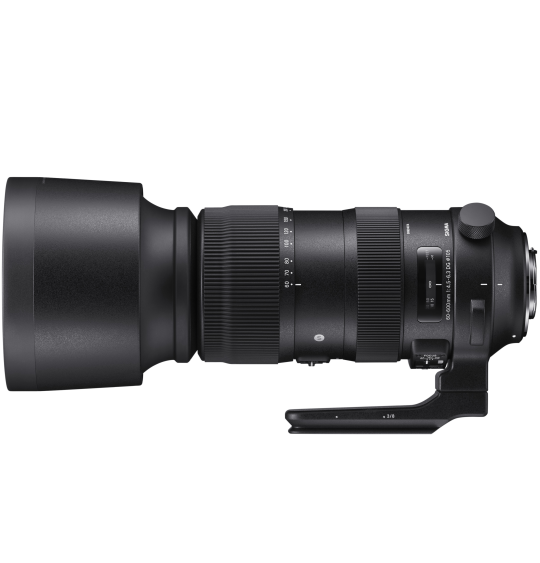 Sigma 60-600mm f4.5-6.3 DG OS HSM Sport - Canon Fit