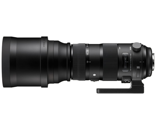 Sigma 150-600mm f5-6.3 DG OS HSM Sport - Nikon Fit