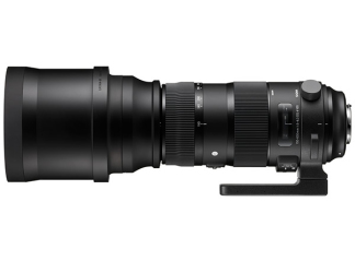 Sigma 150-600mm f5-6.3 DG OS HSM Sport - Canon Fit